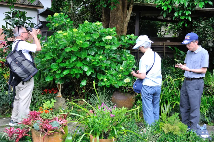 【山行玫瑰簡餐裹腹佐配雲山壯麗！午餐鴨嫂在山行玫瑰訂了位，抵達時先瀏覽庭園。】