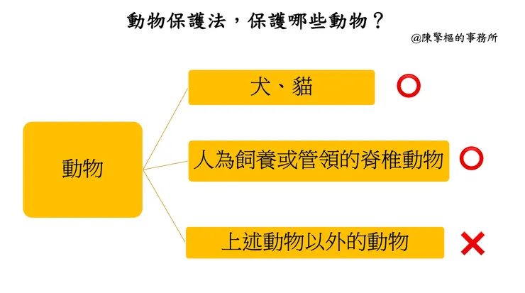 動保法保護的動物(簡要版體系圖)