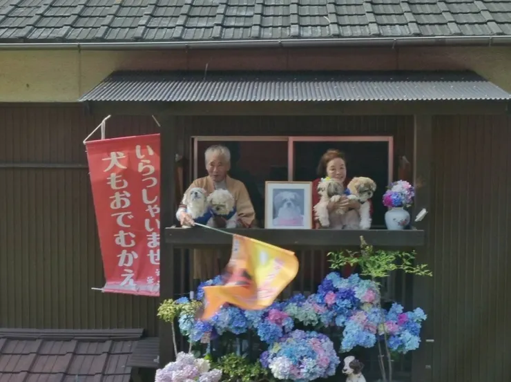 抱著狗狗一起歡迎我們的沿線居民,仔細看看,中間還有一張狗狗的照片,應該是已經去當小天使的狗狗了,但這對老夫妻仍想讓他一起看看列車的經過、也想讓他一起迎接我們的到來。每每看到這一幕,NANA濕婦都覺得眼眶濕濕的,真心有種被重視的感動。/攝影:NANA濕婦