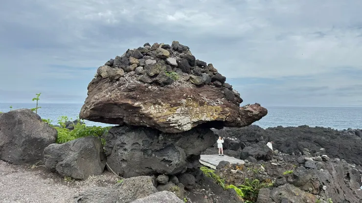 涉地可支烏龜石