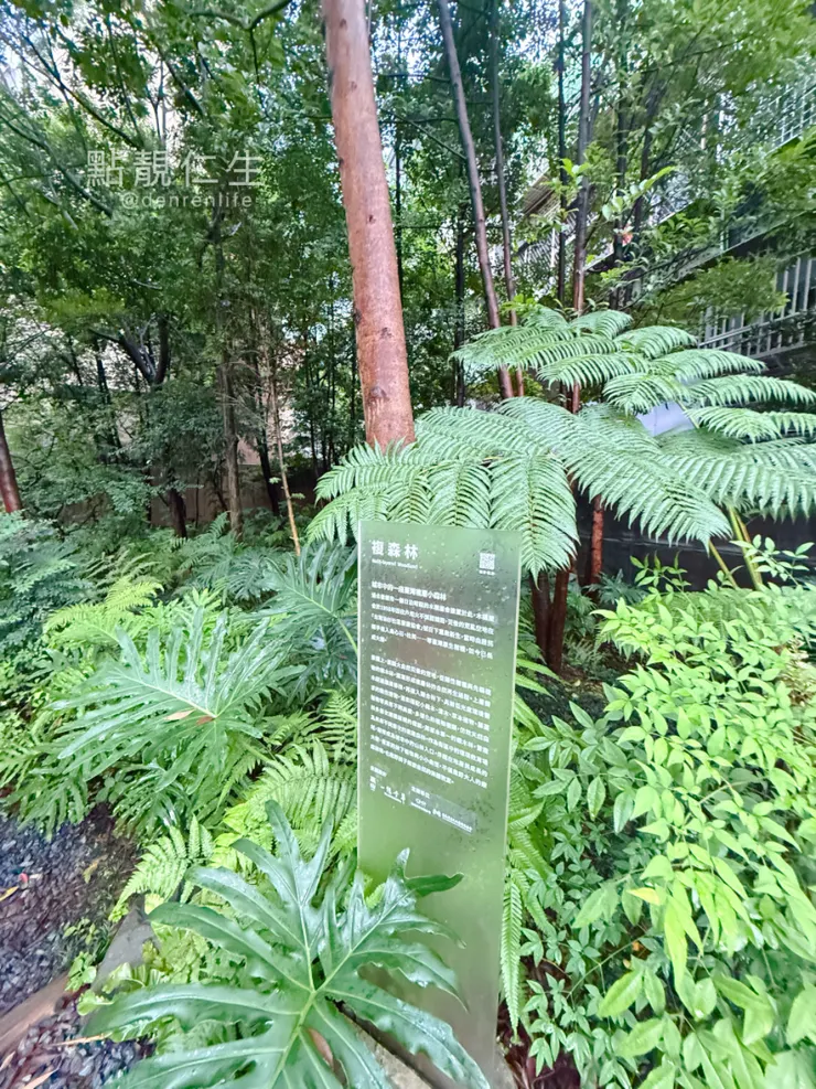 台北大安區｜0Km山物所 複森林