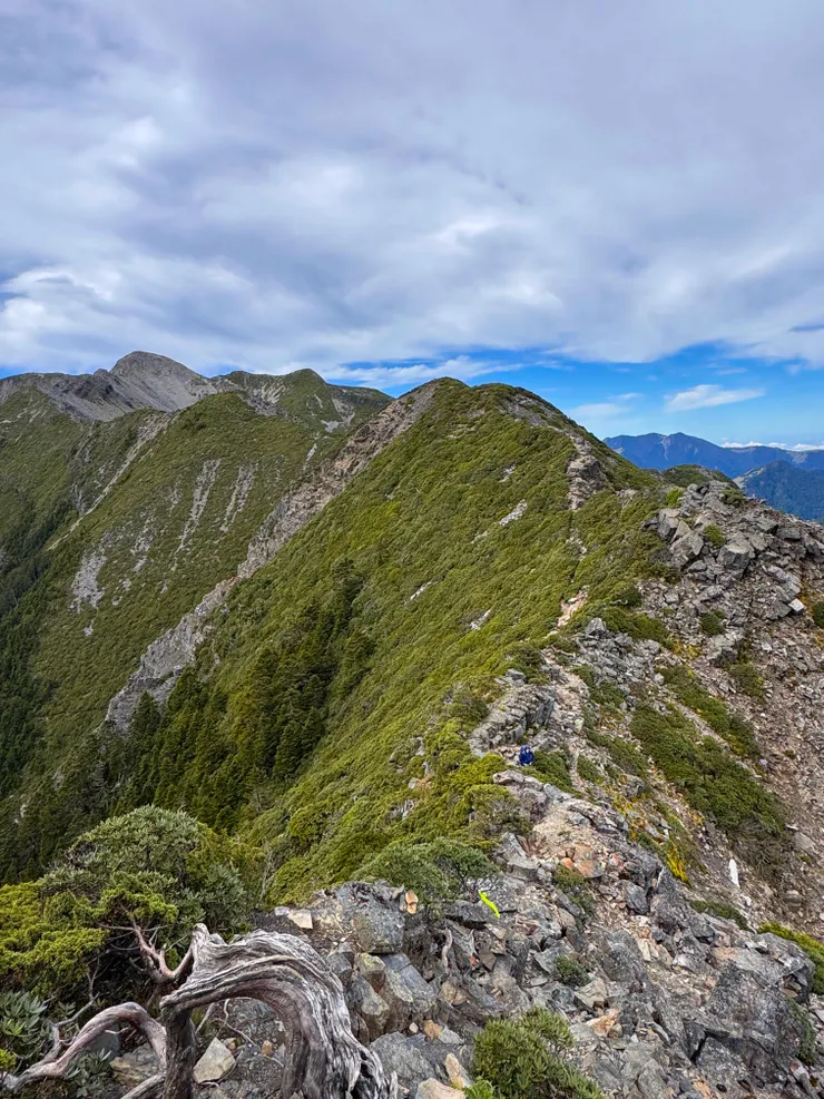 找找阿鵝躲在那裡～？？