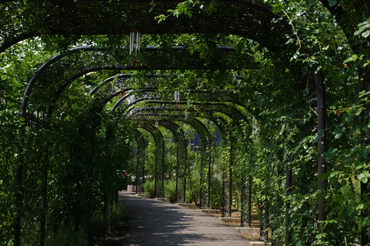 Photo by Naoki Suzuki on Unsplash