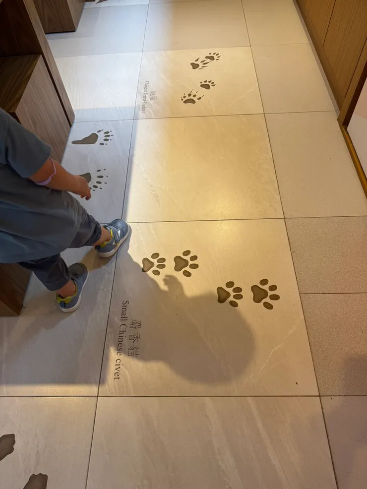 遊客中心有三個展館,各有特色,其中一個館內還有動物腳印的小巧思,很可愛。