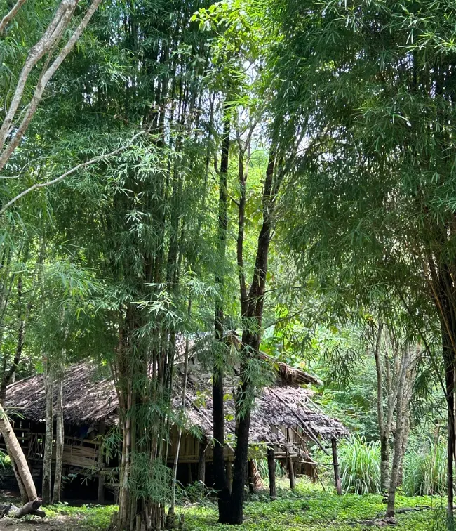 克倫族夫婦一手維護一大片吃飯喝水農場,圖為他們溫馨涼爽的竹子屋~