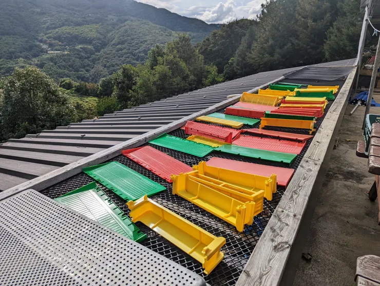 聊天過程中默默把這些養蜂道具都洗好曝曬完畢