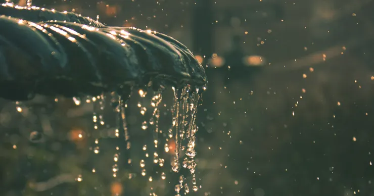 Photo by John Wilson on Unsplash