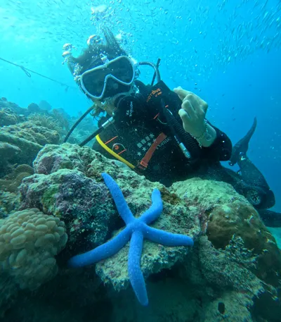 女吃漢的斜槓企劃所全貌