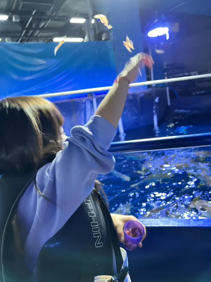 釜山水族館——玻璃船體驗