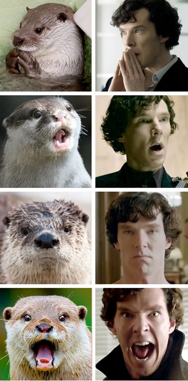 圖片擷取自網路