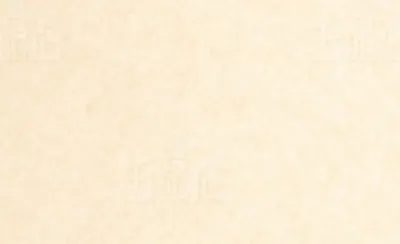 菜鳥銀行員日記