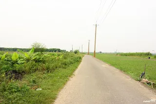 路廊在左邊草叢(7862)-往南拍&nbsp;
