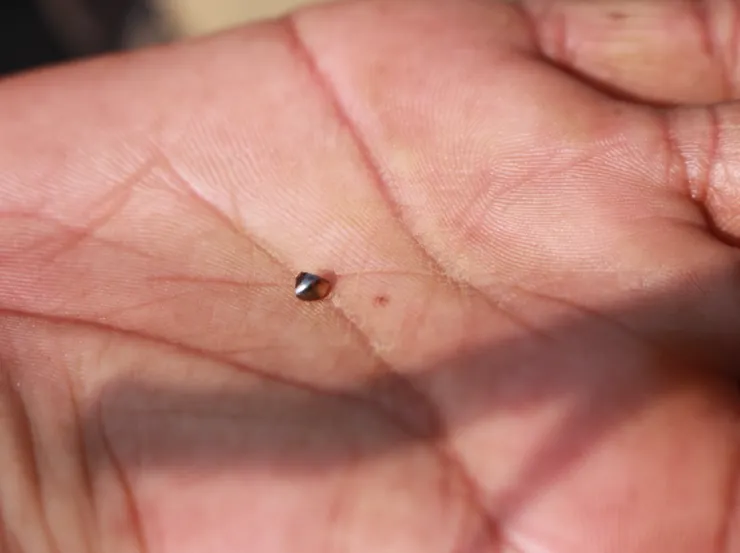 哇！第一次看到新鮮的鑽石！