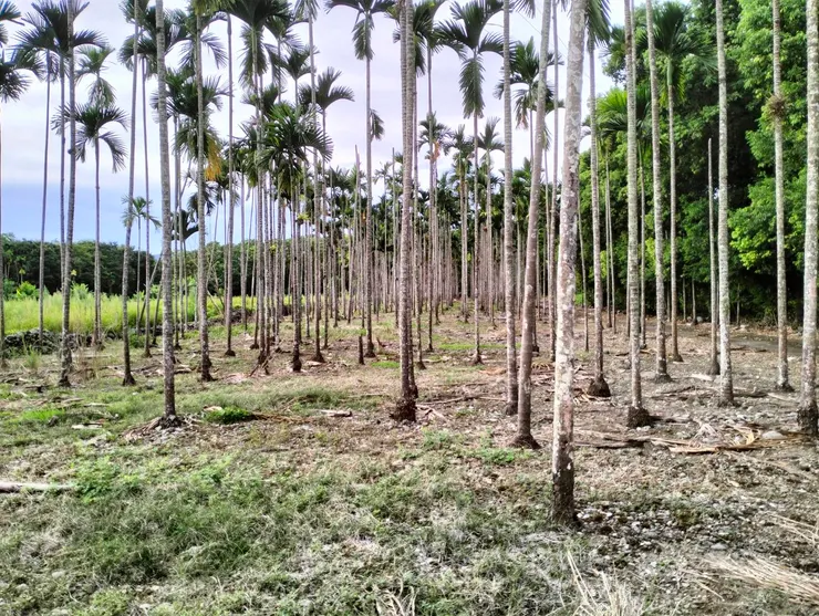 在這裡發現野兔的~~