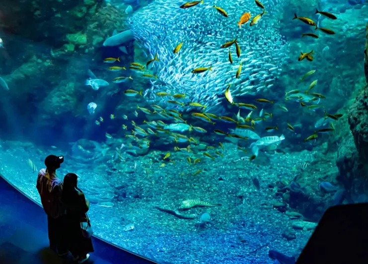 enoshima-aquarium-1
