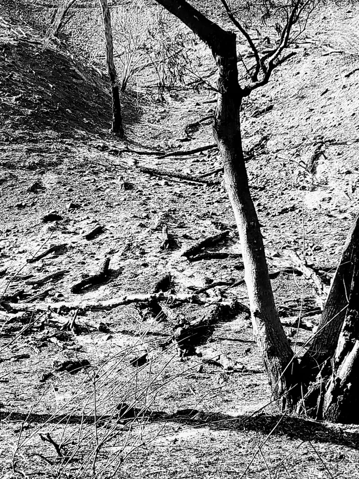 photographer by Hsun