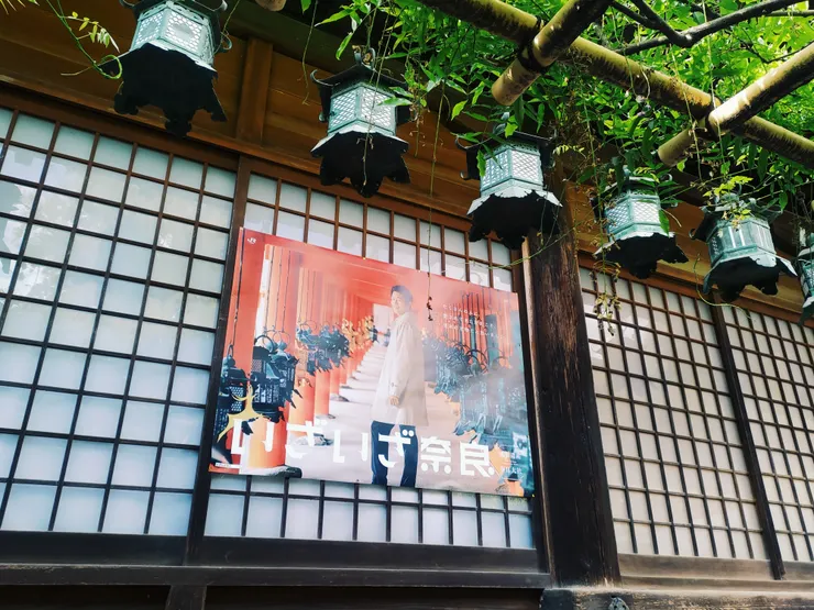 ＃いざいざ奈良｜JR東海廣告