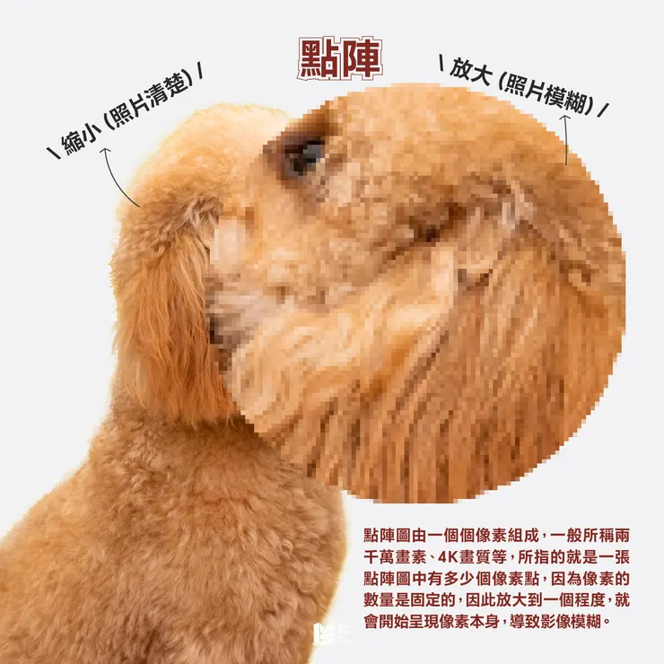 圖檔間的紅白對抗-點陣圖