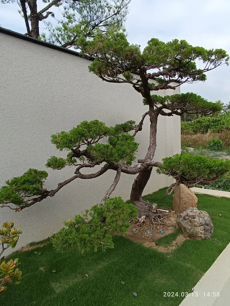 足行家里，一戶深院牆前小景