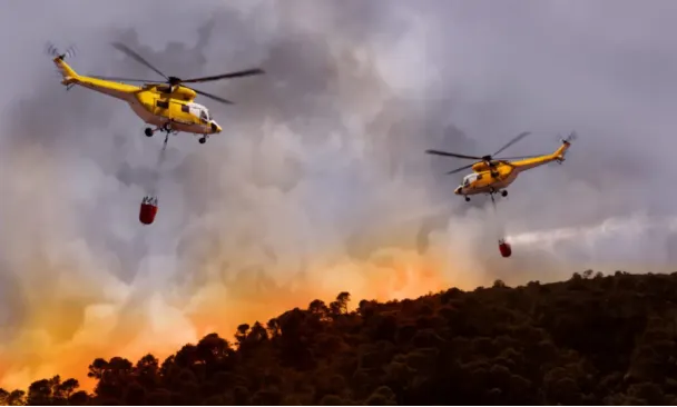 照片取自: Cagliari tomorrow官網