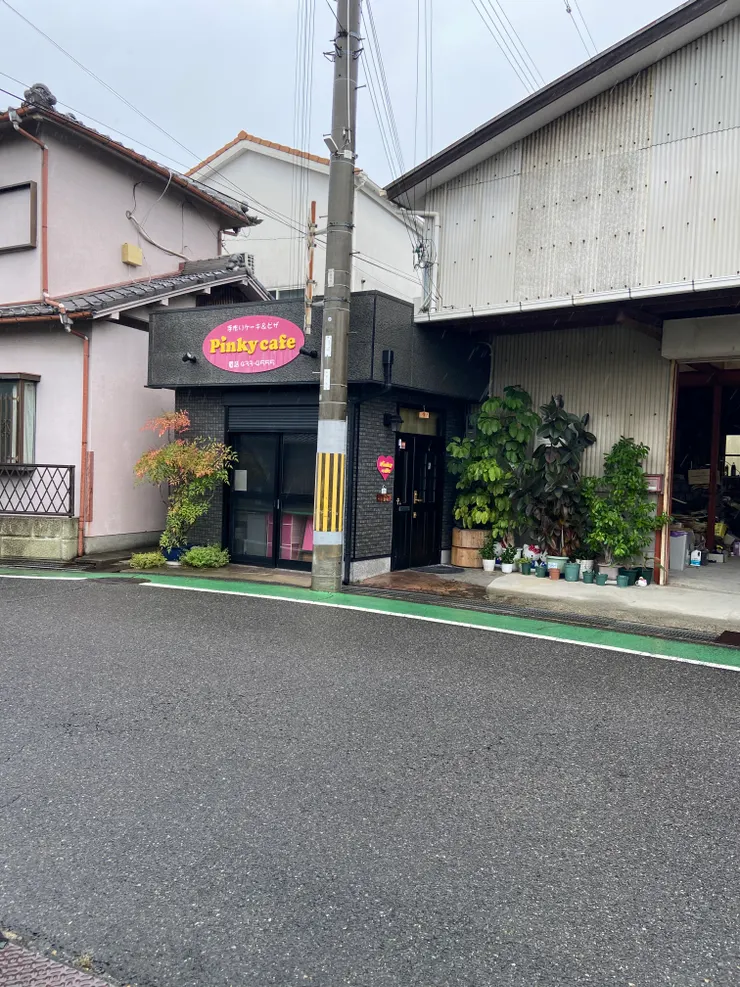 Pinky cafe（作者拍攝）