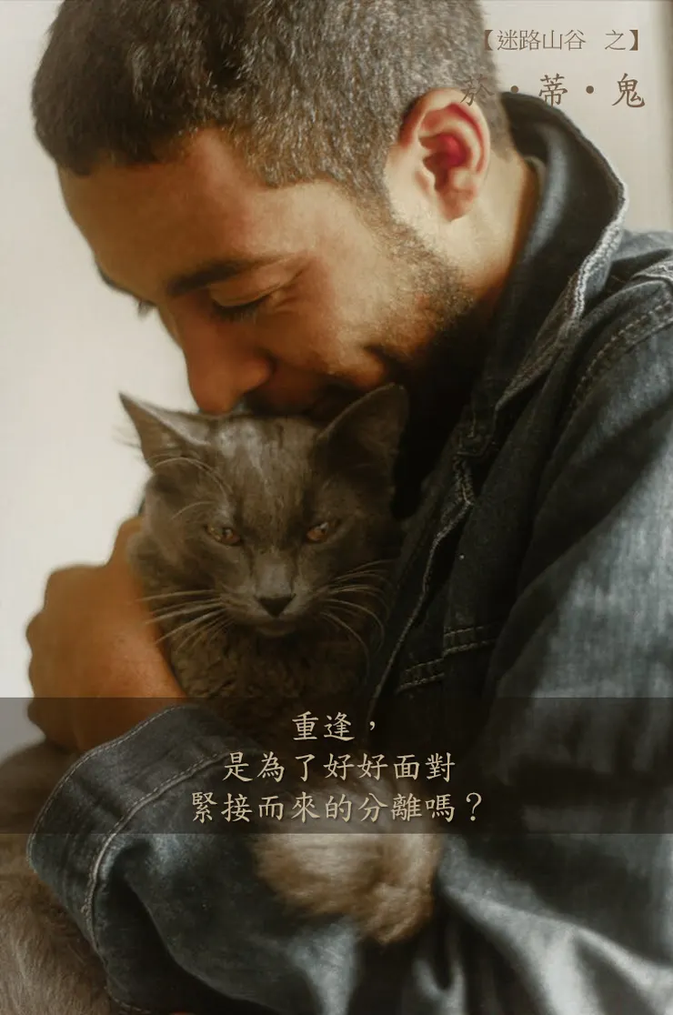 Image by Bia Santana from pexels