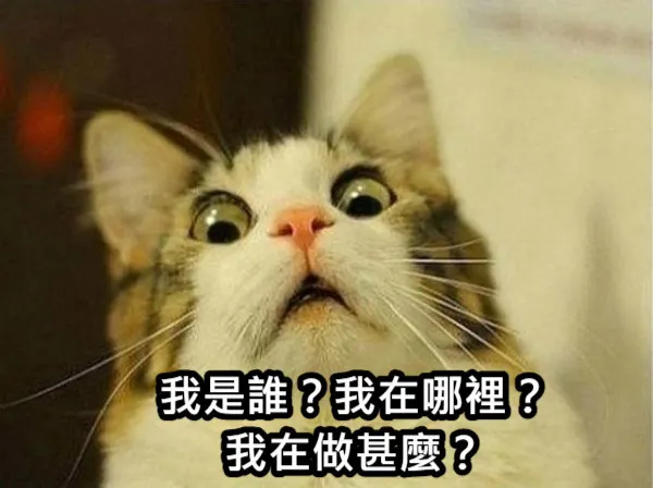 from Meme 梗圖倉庫