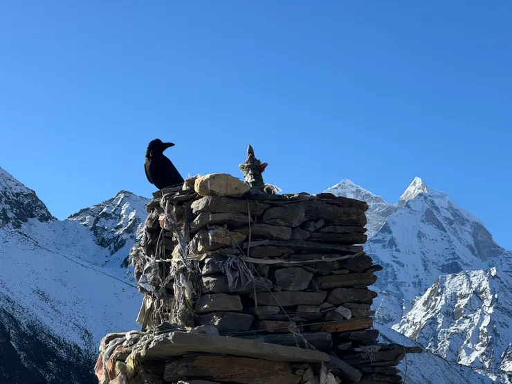 天氣好，怎麼拍都美！