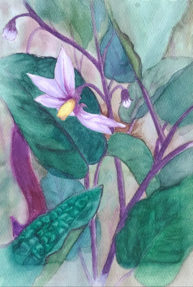茄花，水彩，8開。葉子比花還難畫。
