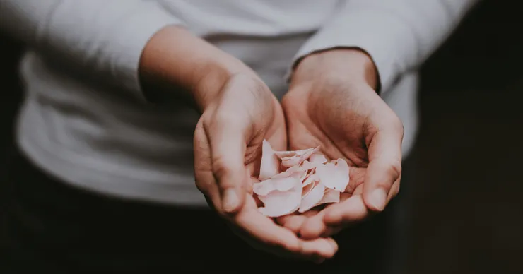 Photo by Annie Spratt on Unsplash