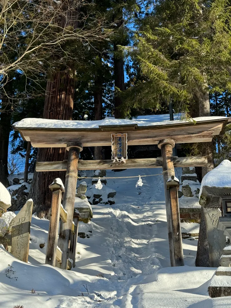 求工作求緣份也許會想去參拜安個心(拍攝於野澤神社)