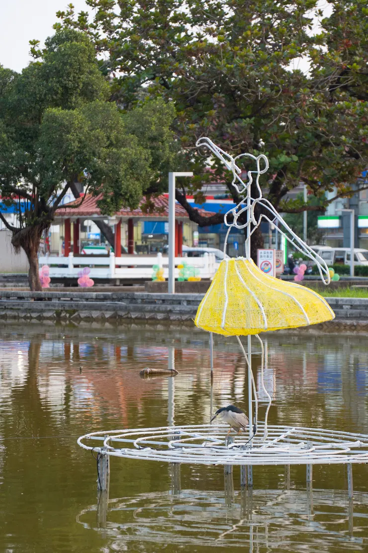 芭蕾女孩還養了隻夜鷺呢（開玩笑的）