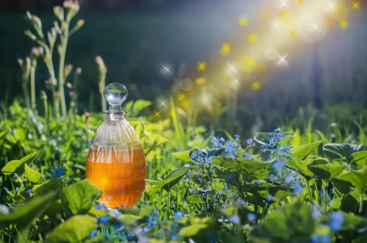 草本調性或是水果調性的香水，帶著露水的蜜桃、荔枝或是帶點苦味的紅石榴。多汁的果香讓妳整個人看起來充滿活力。圖/123RF圖庫