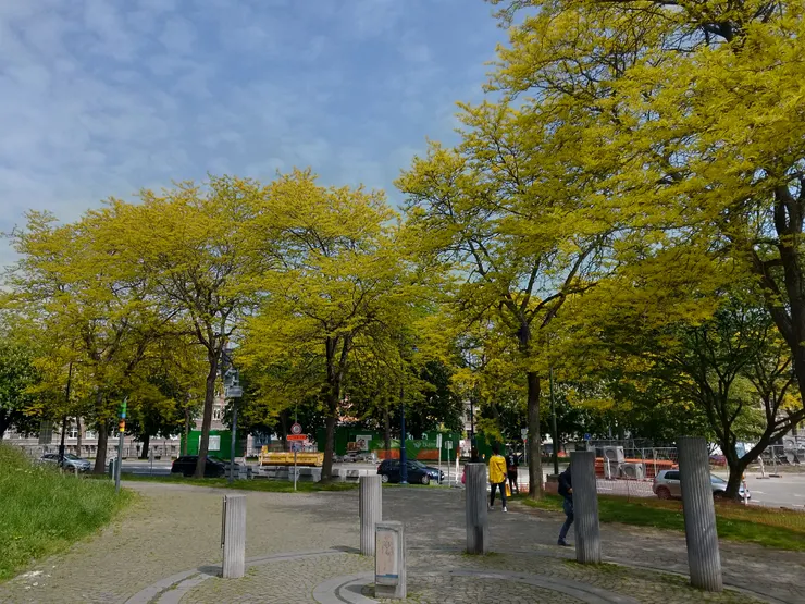 準備來個小健行