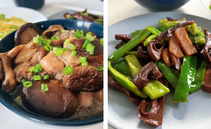 左：雞燉蘑菇；右：青椒牛肝菌