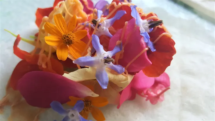 琉璃苣的花朵有個鮮甜的黃瓜味(牡蠣味)，可做成可口的花卉沙拉。