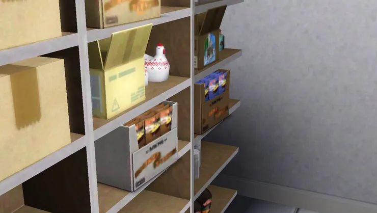 這面牆前放了個大架子，用來放補充的貨物。