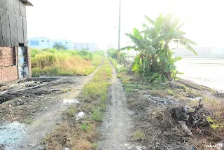 往烏樹林方向(7304)