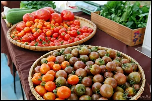 心是一畝田的番茄