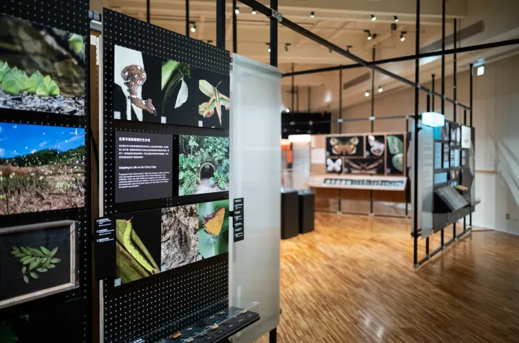 各式各樣的主題與簡潔卻豐富的展廳