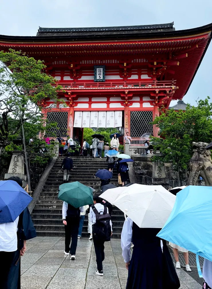 雨中的清水寺