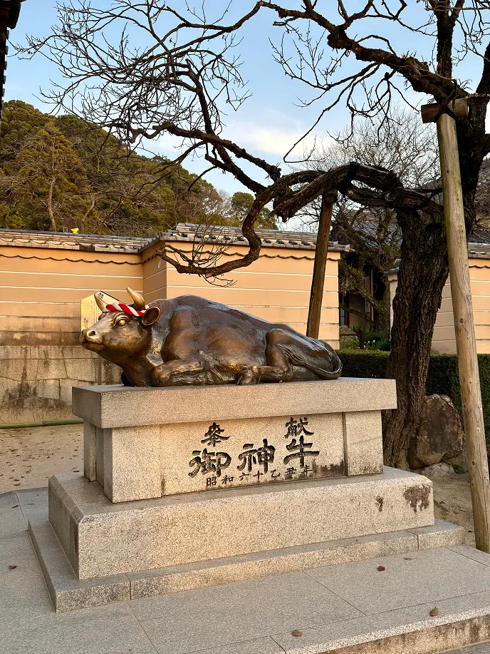 太宰府 御神牛