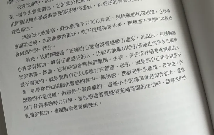 野生藍莓的靈性啟發