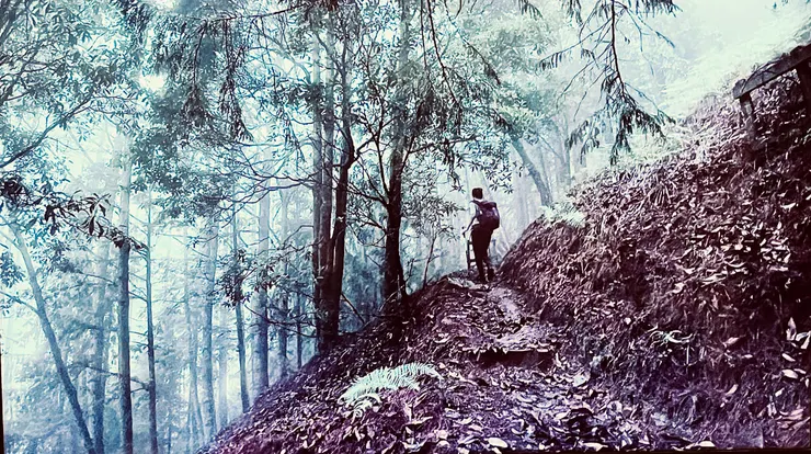 圖 YHCC@桃山路徑