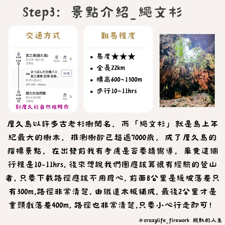 景點介紹_繩文杉