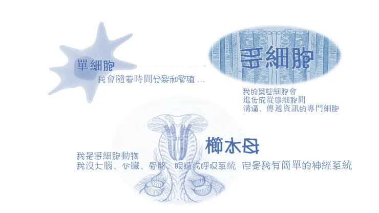 古代細胞進化成複雜大腦