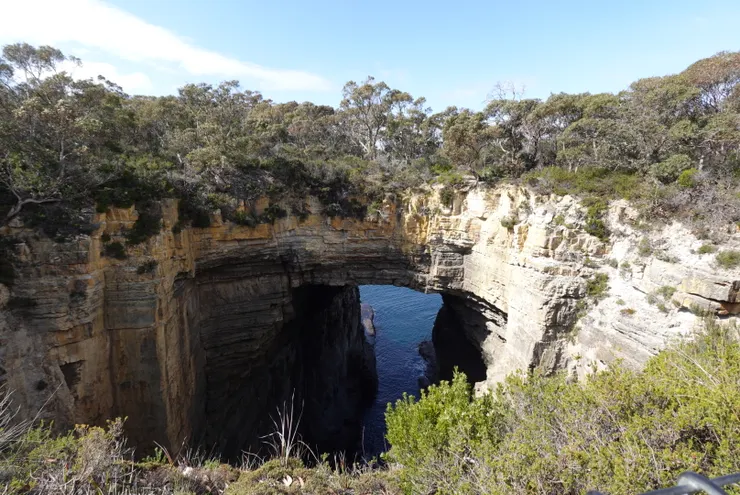 雄偉的塔斯曼拱橋