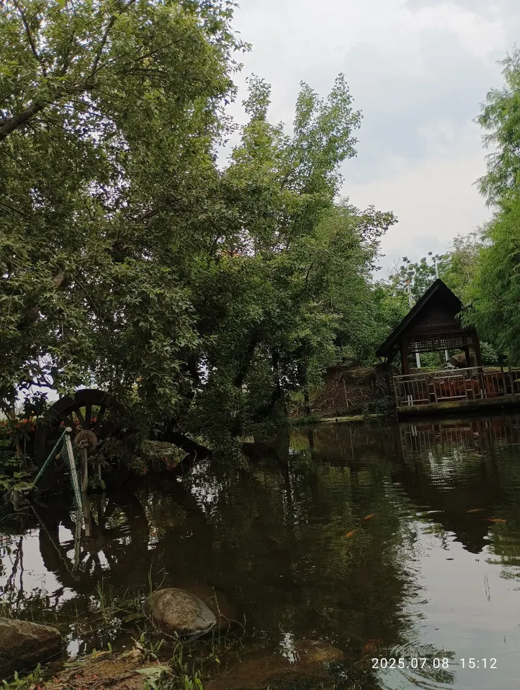 細風浮膚鳥鳴幽，自拍攝