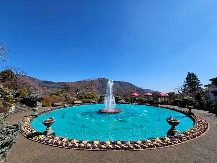 箱根強羅公園-周遊券免費入場