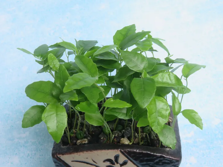 北投社大112.07.05